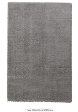 Tapis 200x290 cm Gris